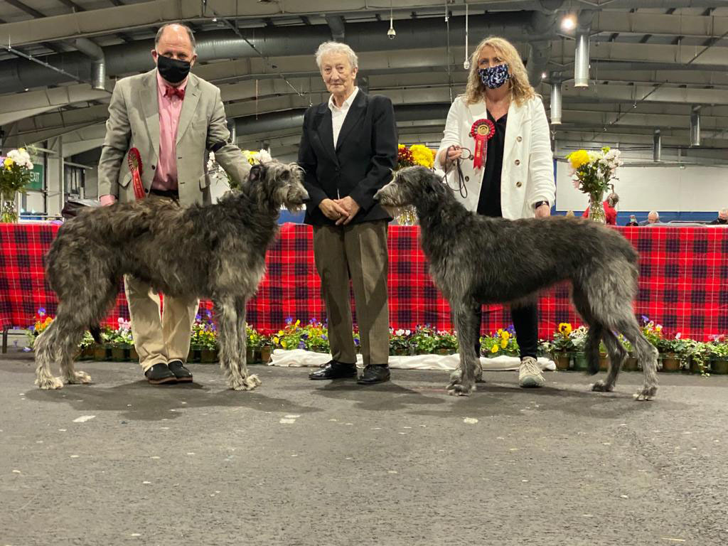 CC Winners Hound Association of Scotland 2021